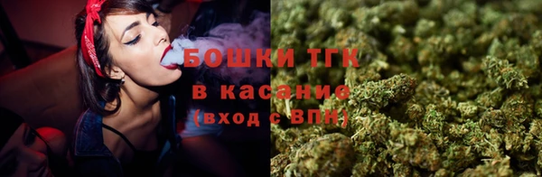прущие грибы Алексеевка