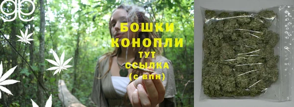 прущие грибы Алексеевка
